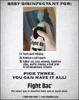 If You Have Cows, You Need Fight Bac