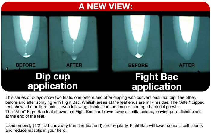 Fight Bac udder X-Ray images